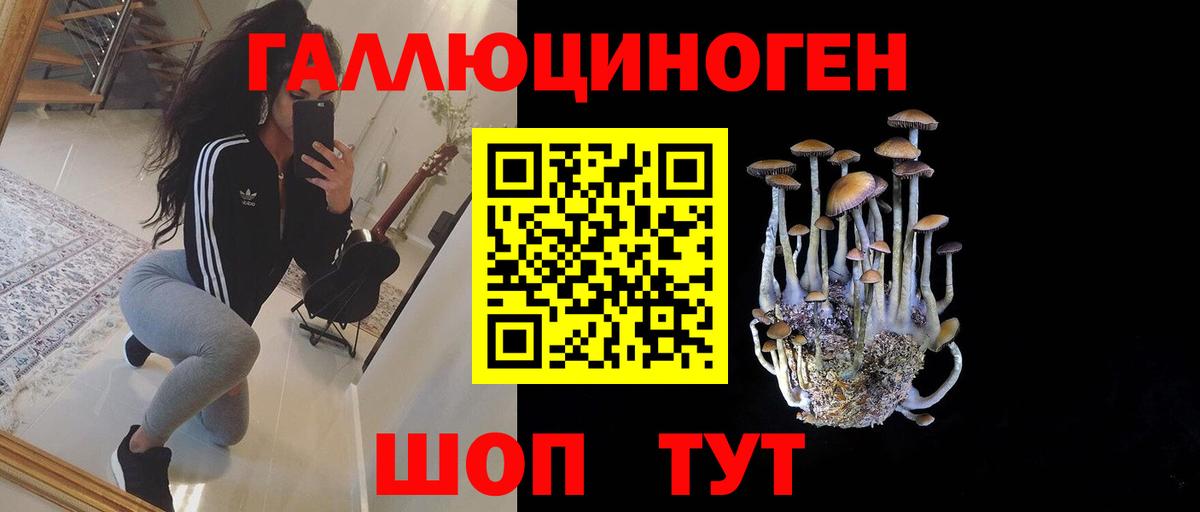 Киров  Псилоцибиновые грибы Cubensis  хочу   Вход с VPN 