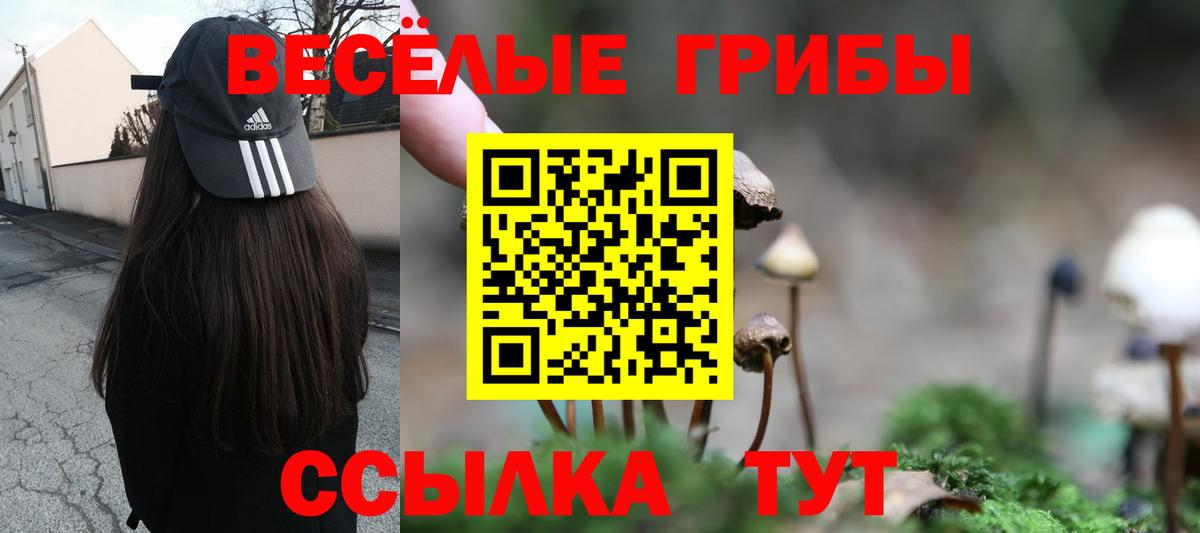 Галлюциногенные грибы Cubensis Киров